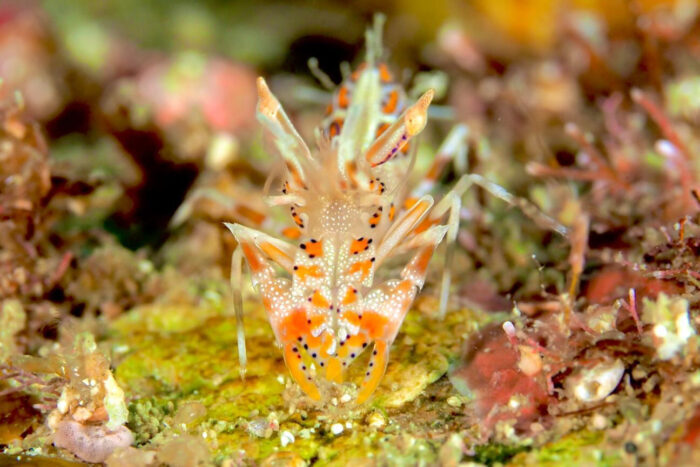 24810D37-BC0D-4ED7-AD10-43A016F25851