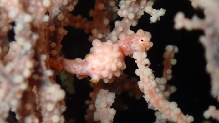 72514649-9CBB-49E0-B484-D63E53C0767A