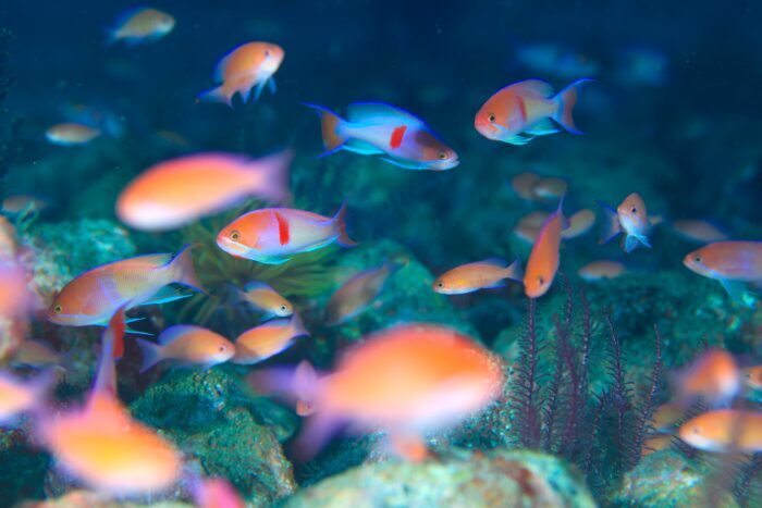 att.C55pwbuKIE4JoE41SY1PVU76mUfVIYZxcqFWQFDL1rA