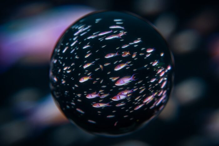 S__11943962_0