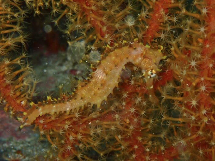 P7094420